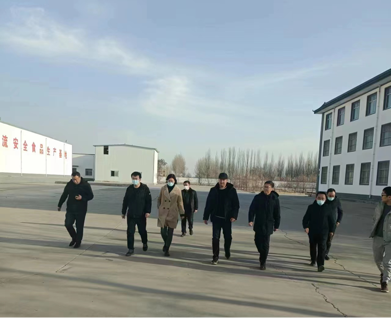 石嘴山市副市長、惠農(nóng)區(qū)委書記王宇翔蒞臨寧夏興康恒潤農(nóng)業(yè)科技發(fā)展有限公司調(diào)研