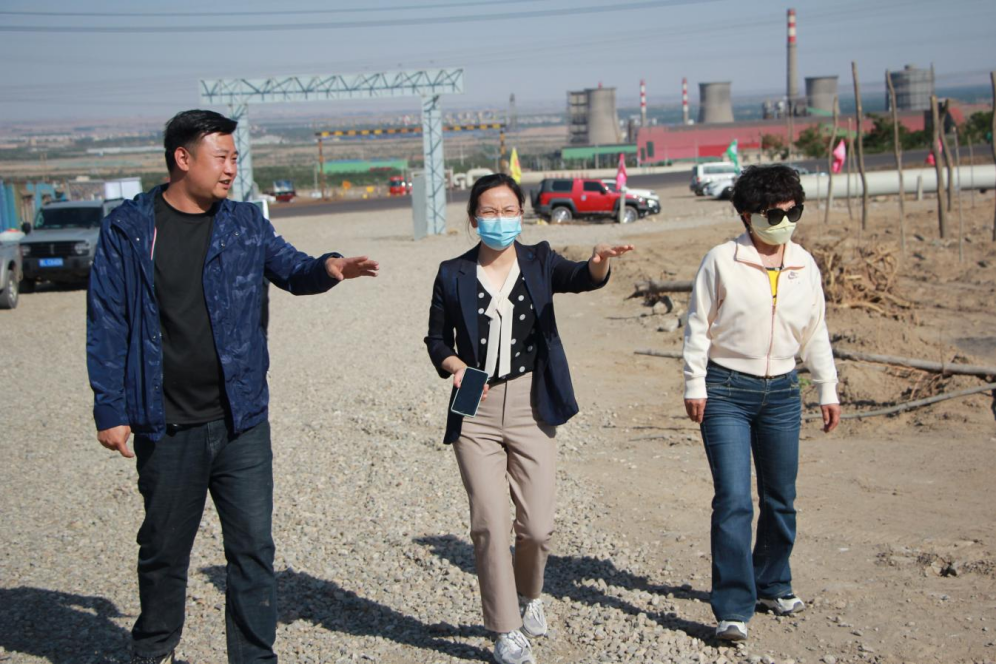 石嘴山市農(nóng)業(yè)農(nóng)村局副局長徐永霞、農(nóng)經(jīng)中心主任王曉斌一行蒞臨基地檢查指導(dǎo)